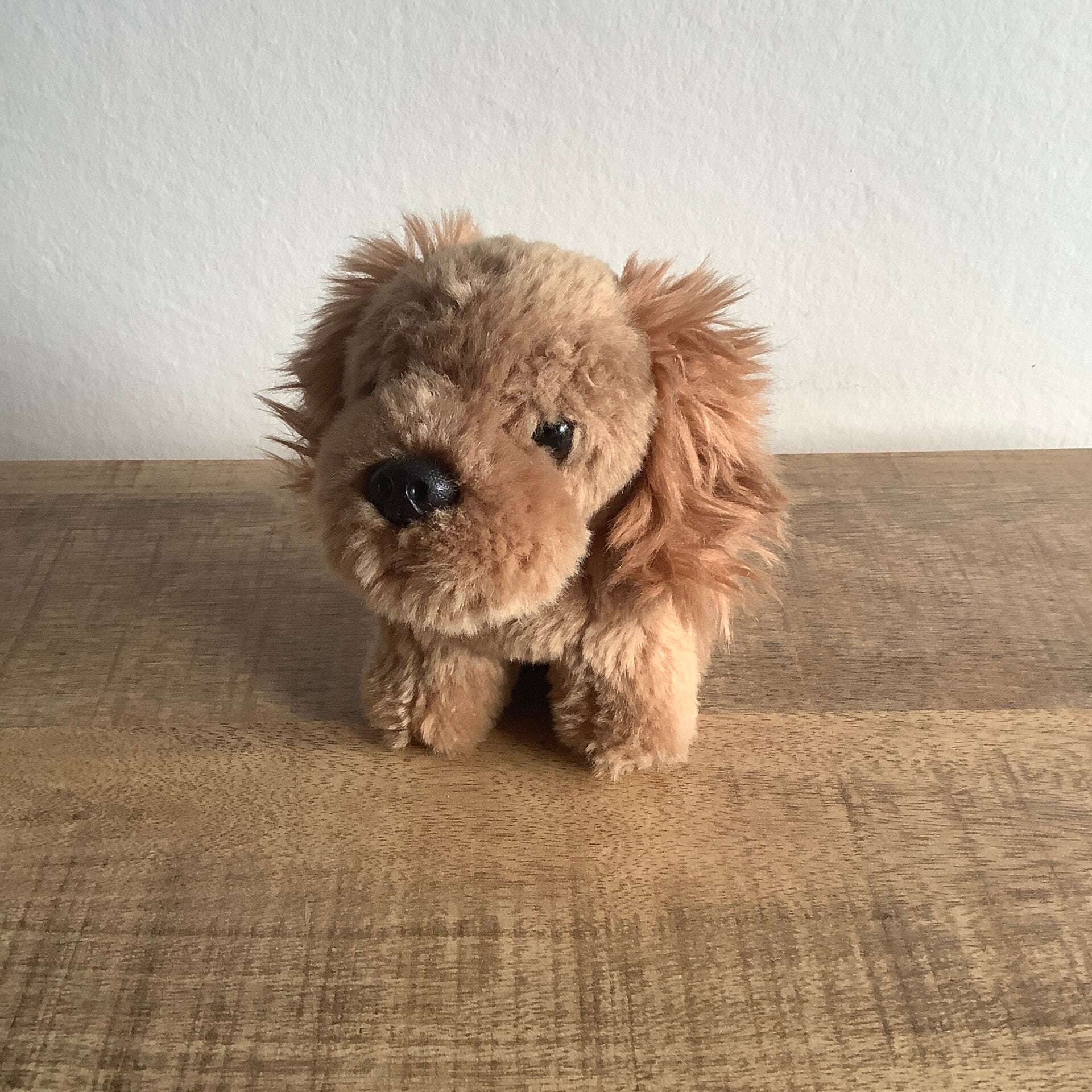 Anna Club Plush hond