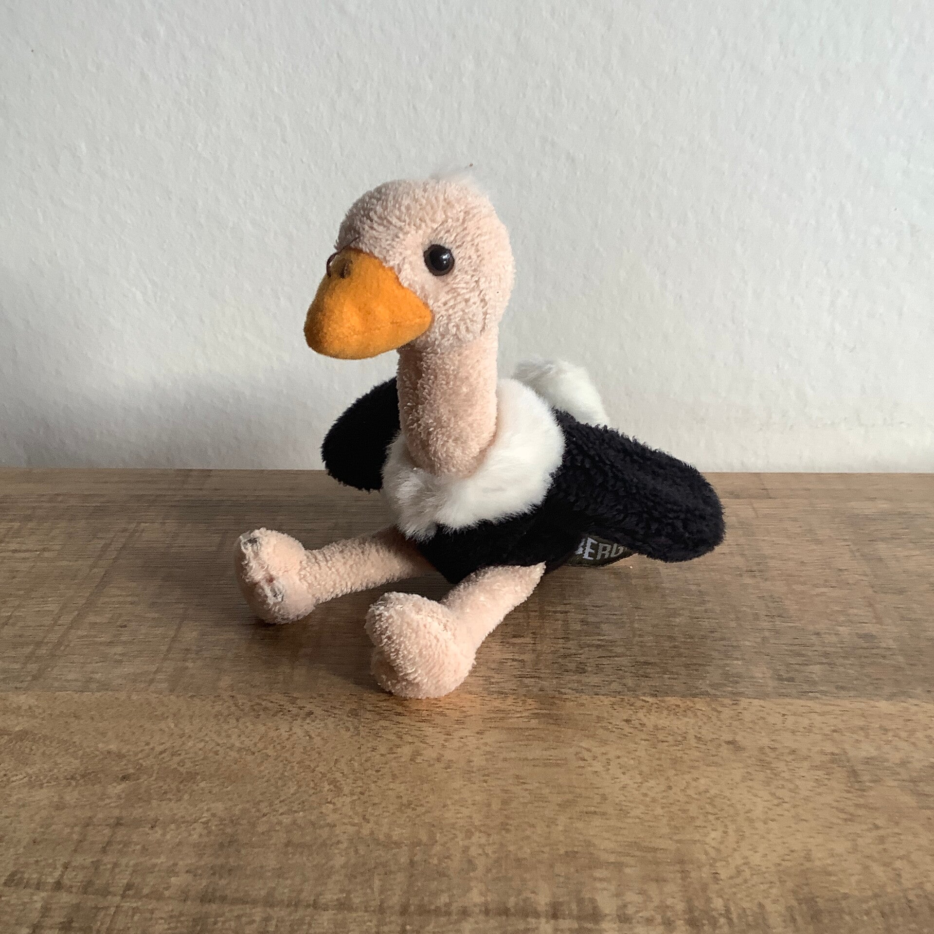 Beekse bergen struisvogel