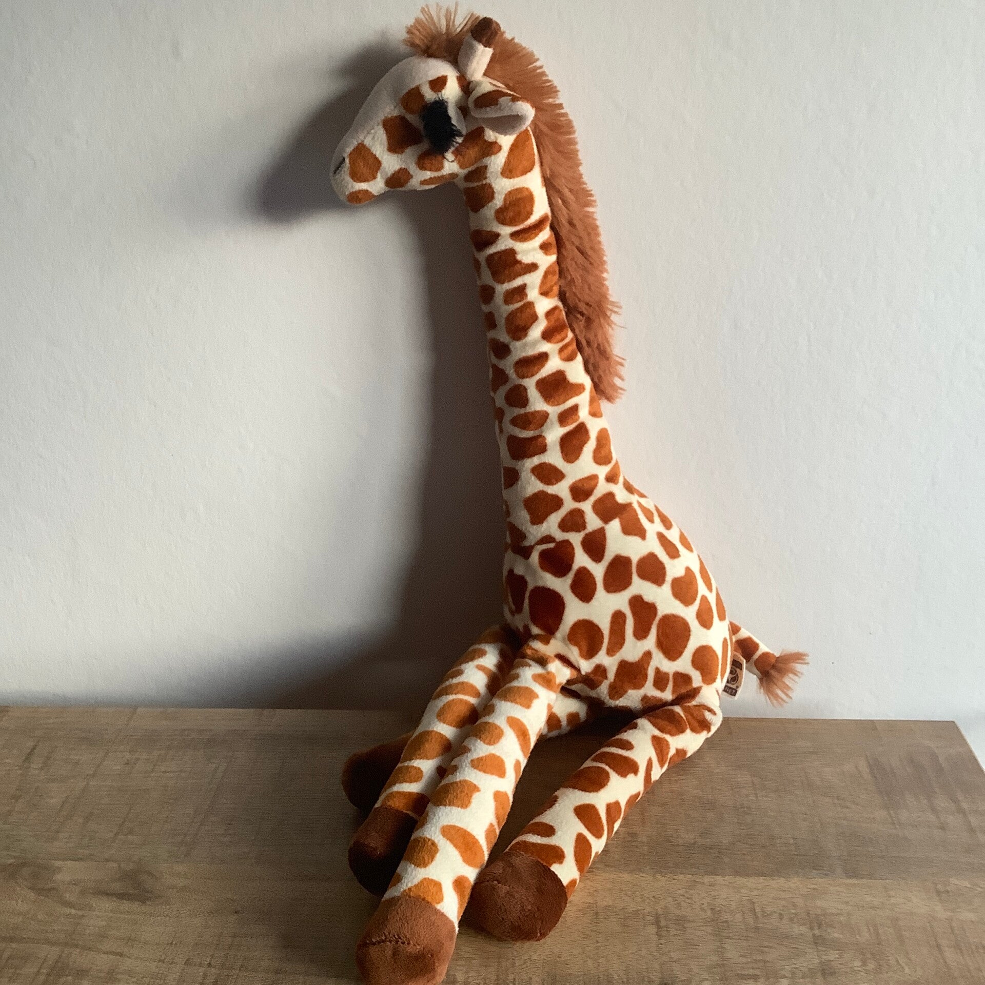 Nature planet giraffe