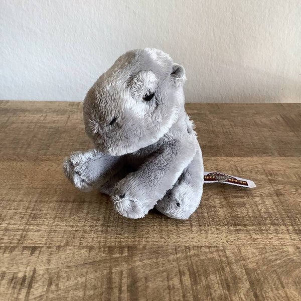 Safaripark Beekse bergen nijlpaard