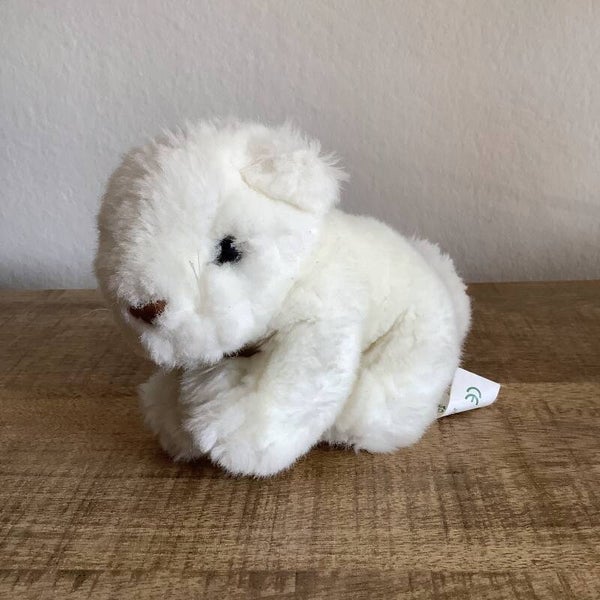 Ouwehands dierentuin tijger