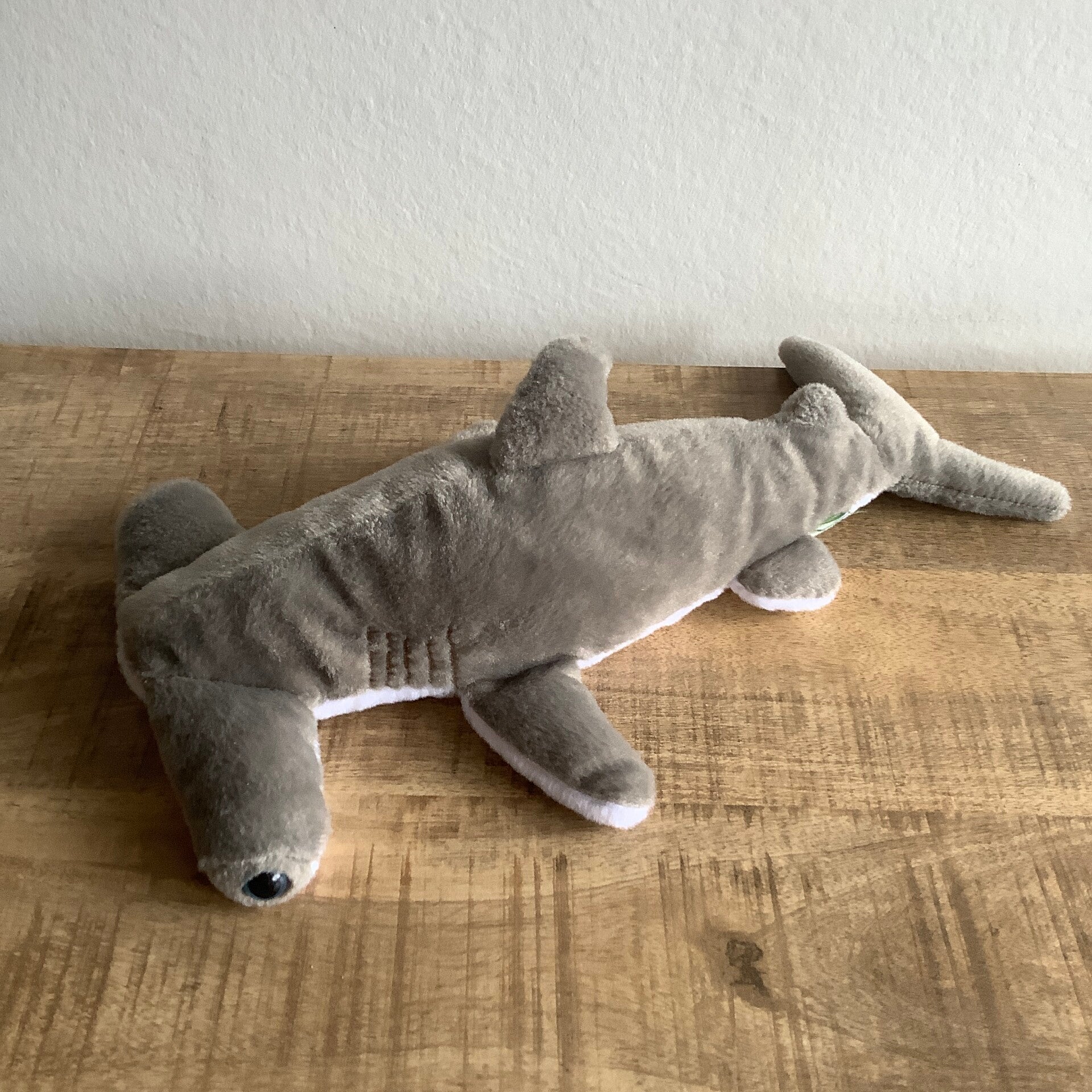 Ravensden hamerhaai haai