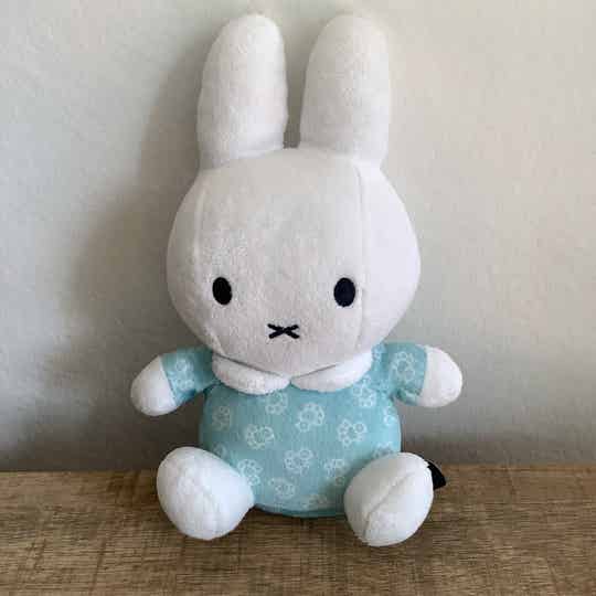 Nijntje blauw met vogeltjes