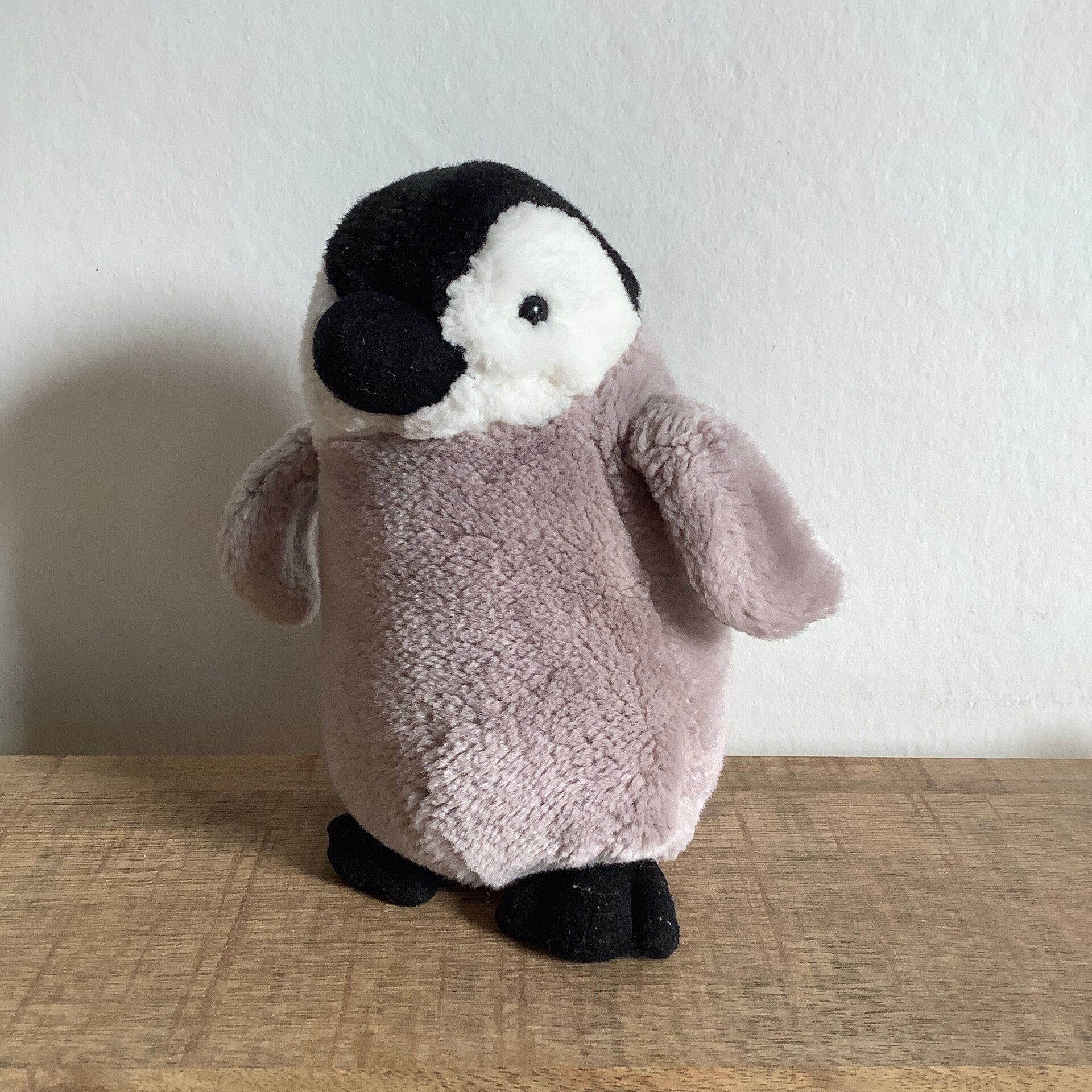 Nature planet pinguin