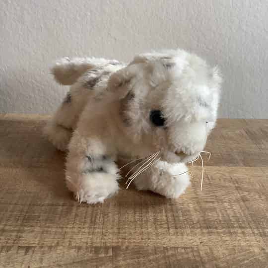 Nature planet tijger