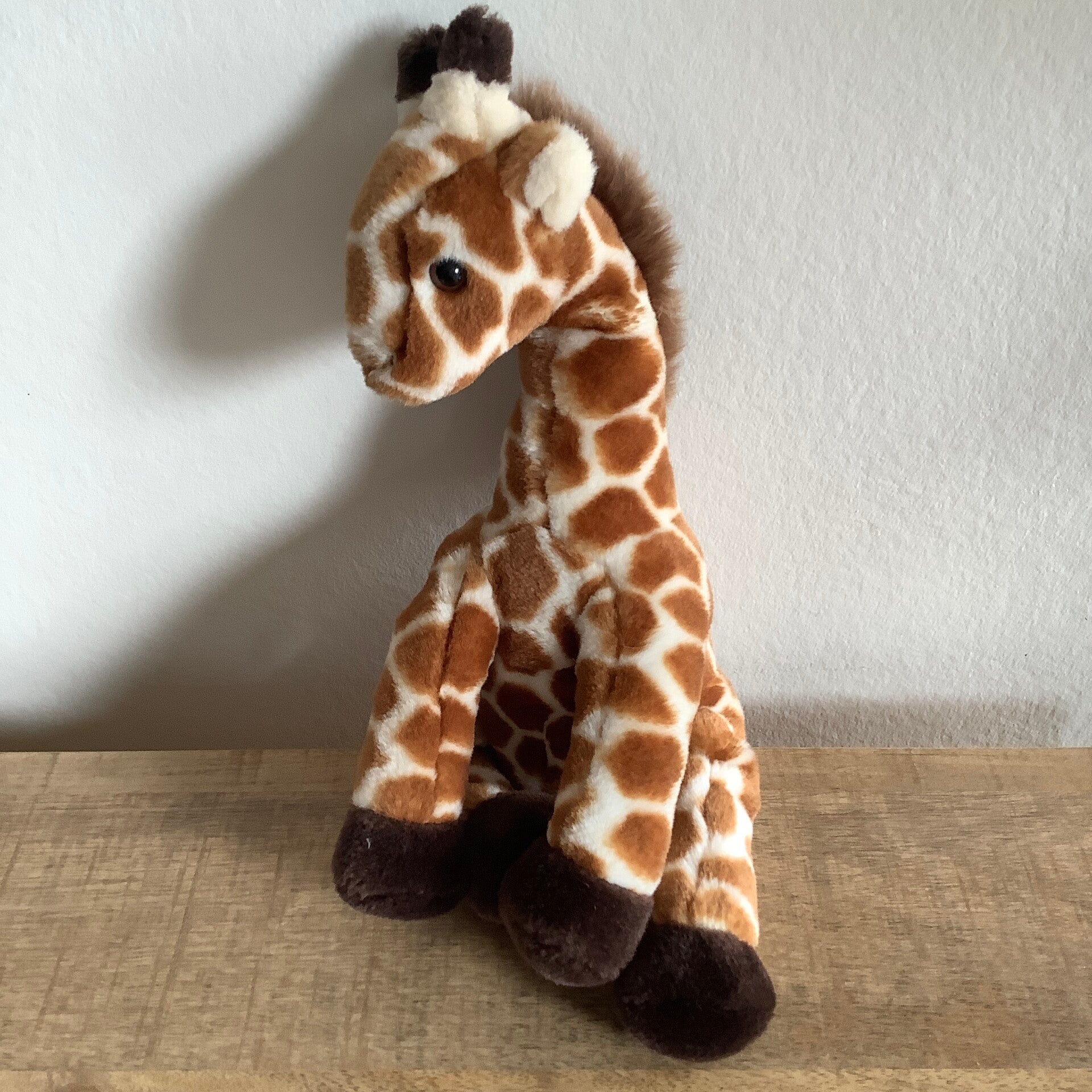 Nature planet giraffe