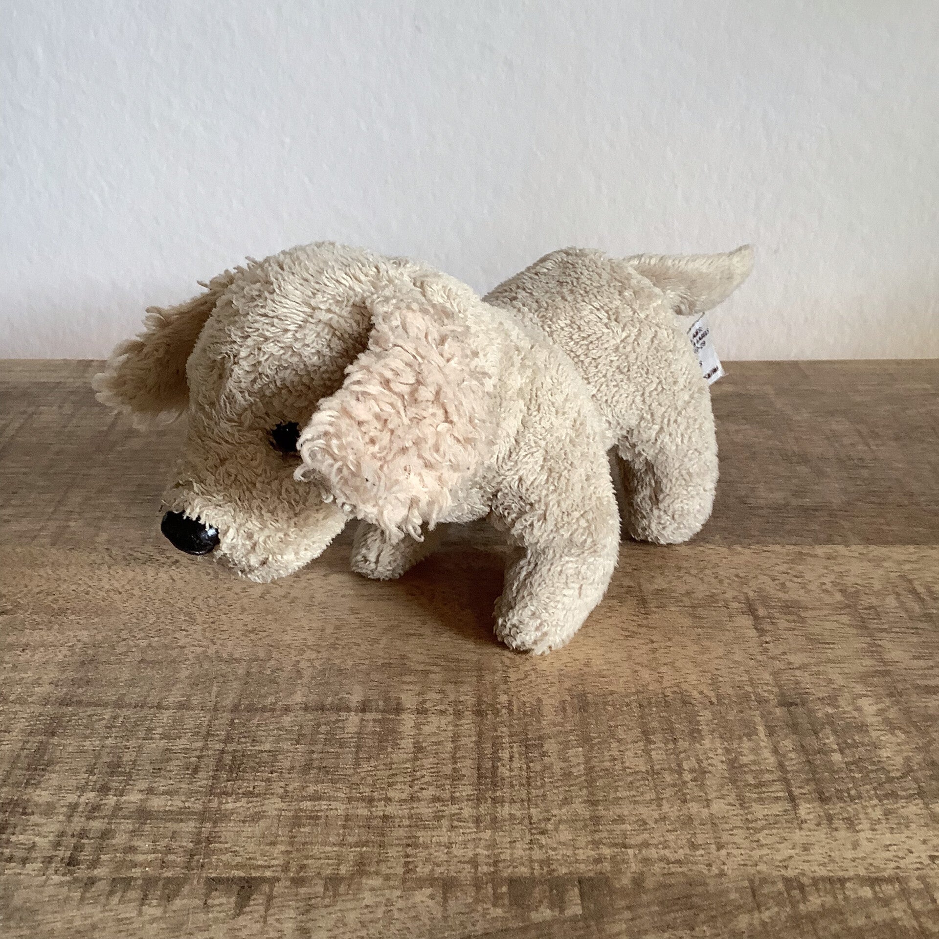 Anna Club Plush hond
