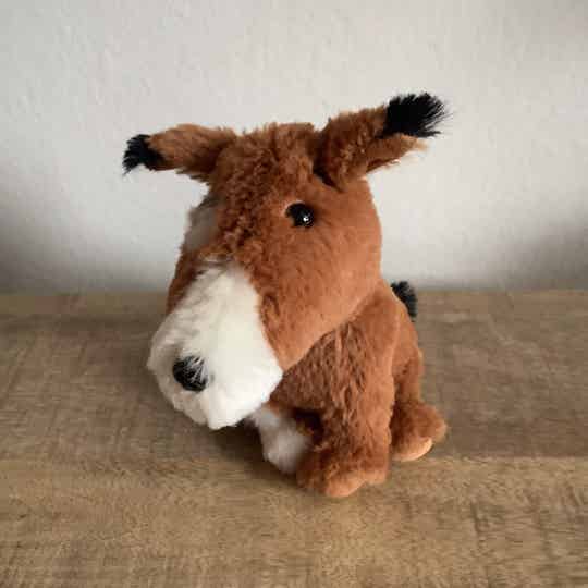 Fien en Teun hond Pim