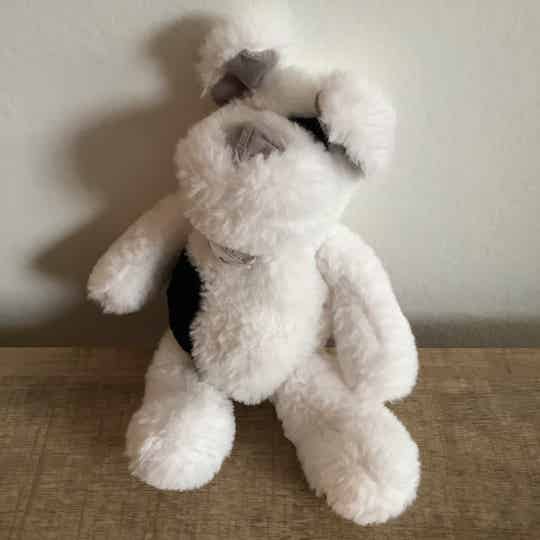 Histoire d'ours hond