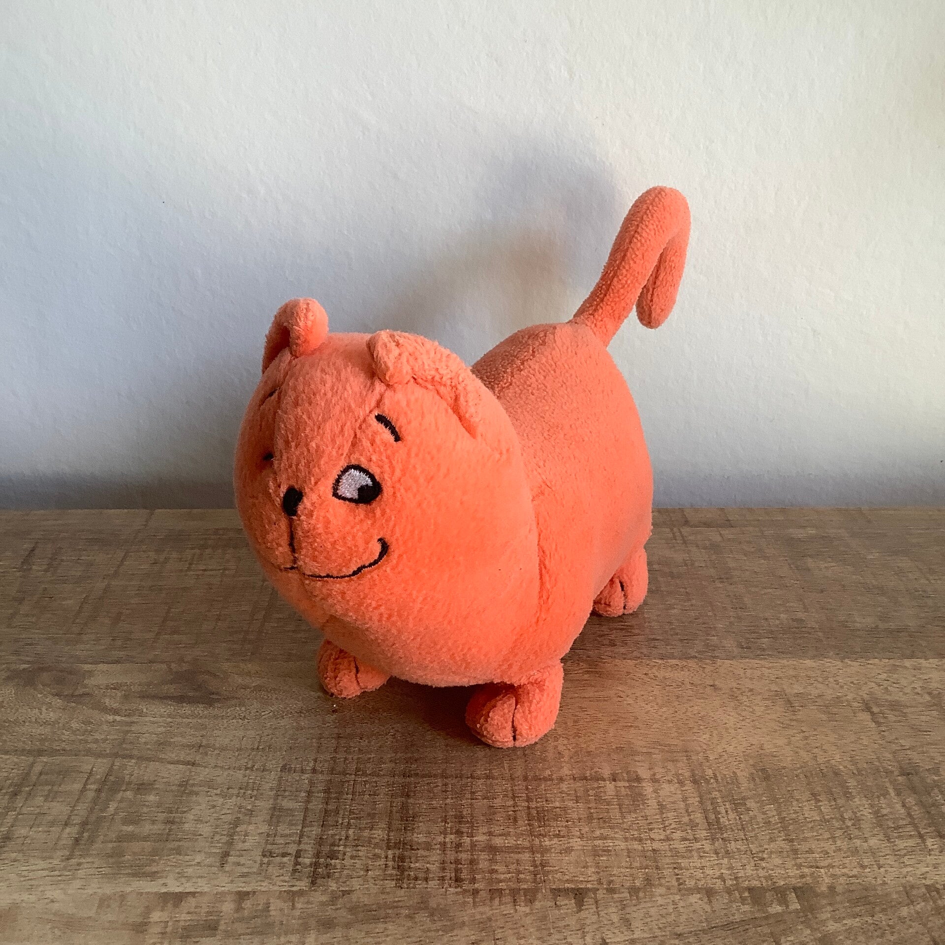 Jan, Jans en de kinderen kat poes