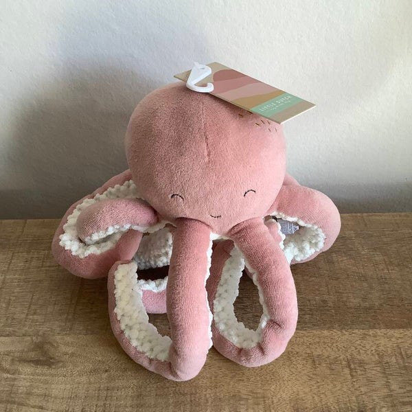 Little dutch octopus inktvis