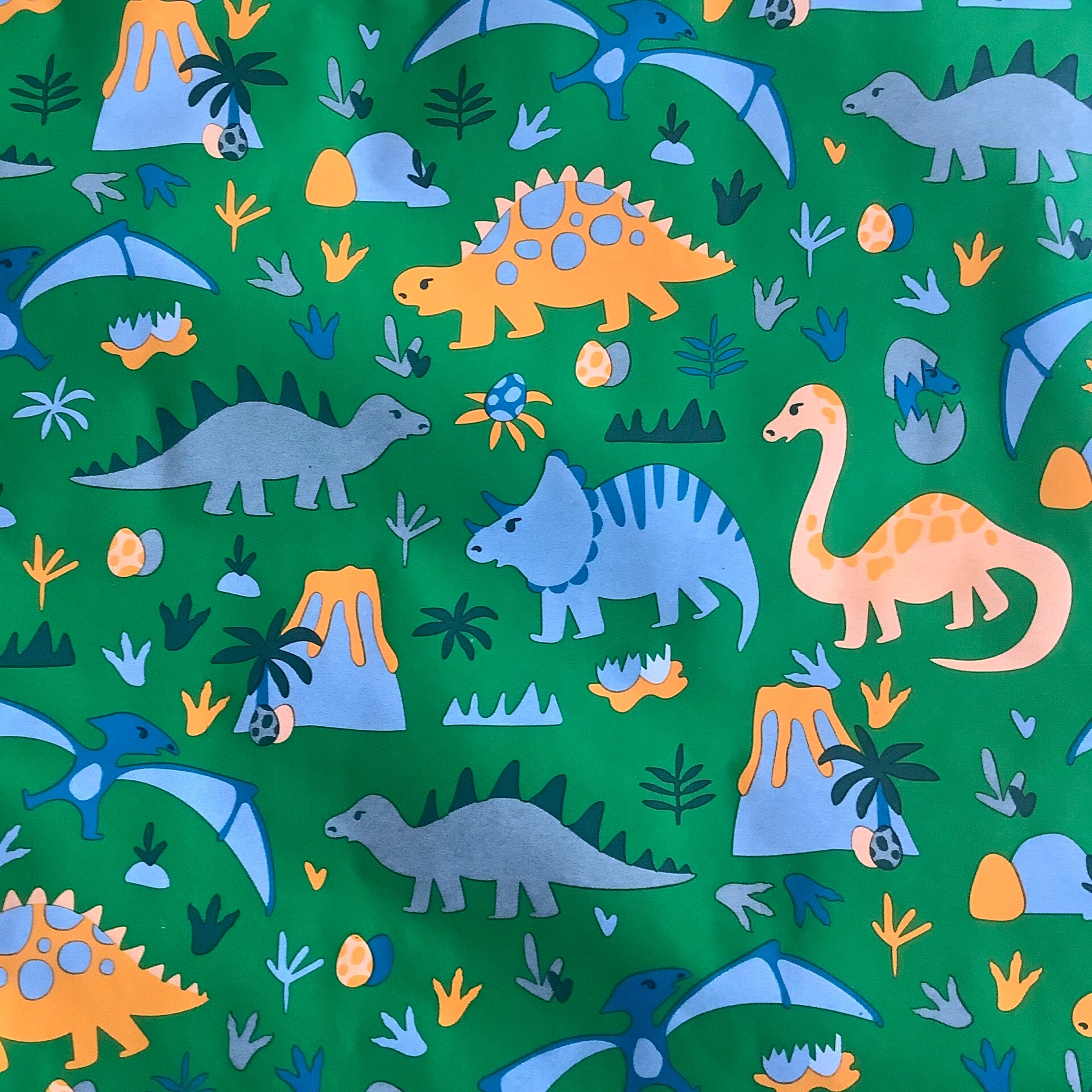 Ingepakt cadeau geven Dinosaurus