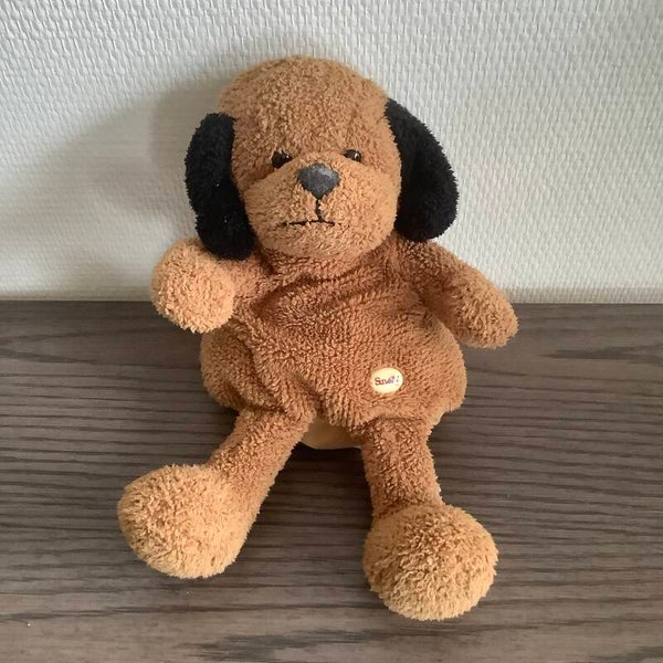 Sunkid hond handpop