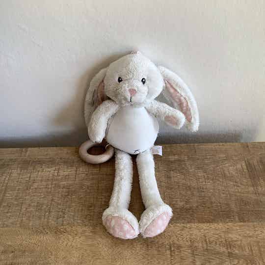 Little dutch muziek konijn