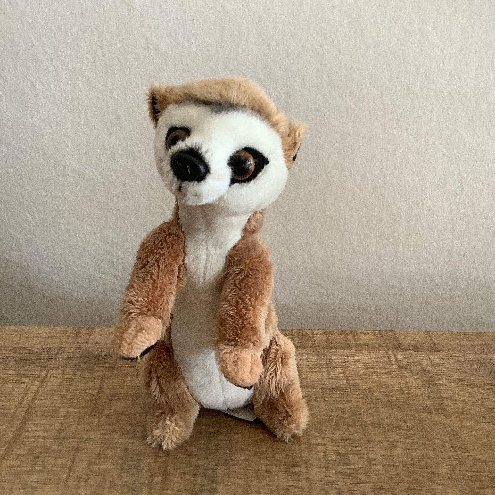 Ravendsen stokstaartje