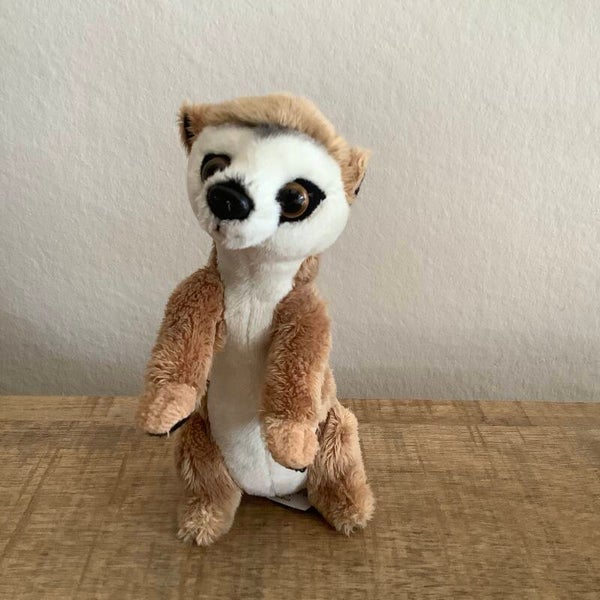 Ravendsen stokstaartje