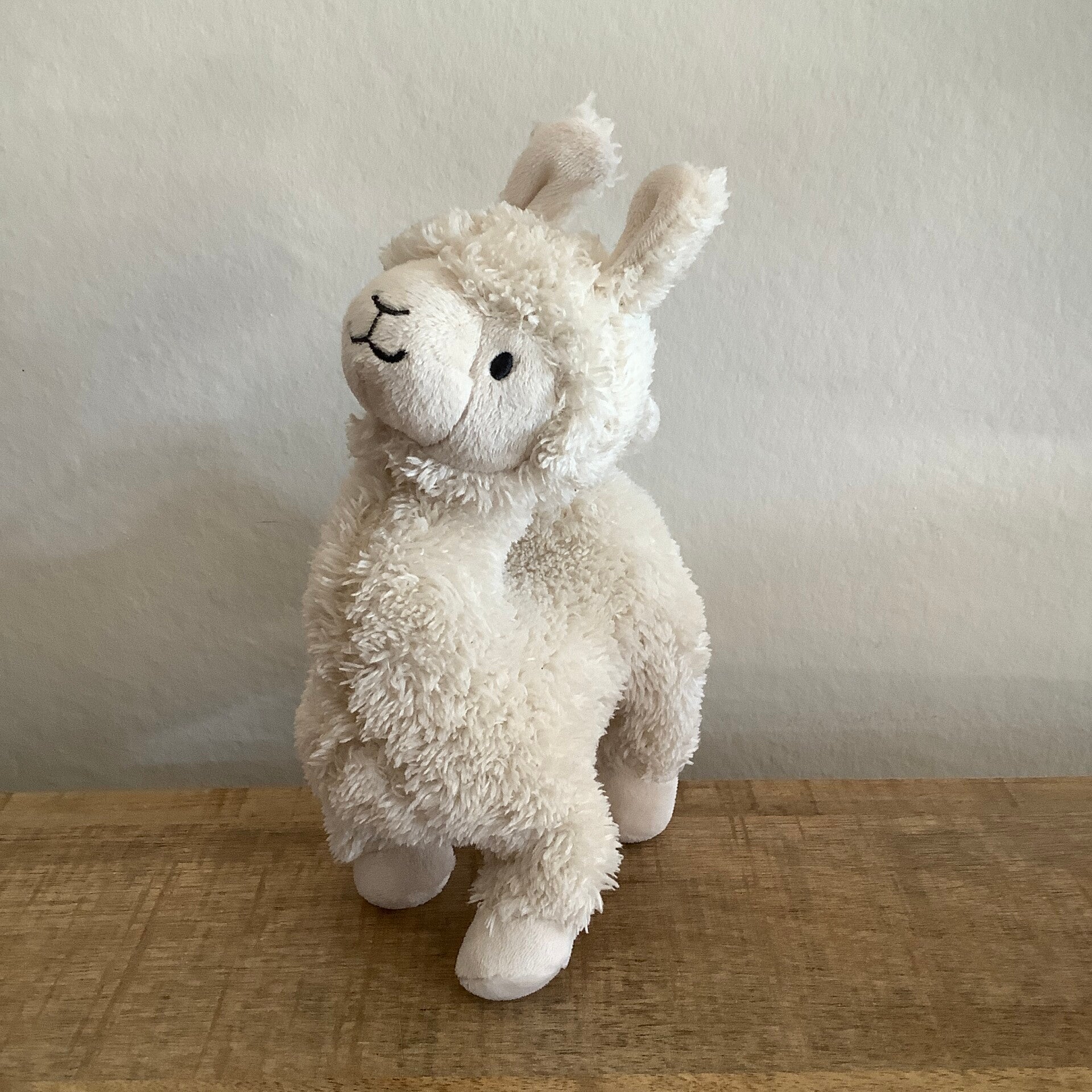 Prenatal lama alpaca