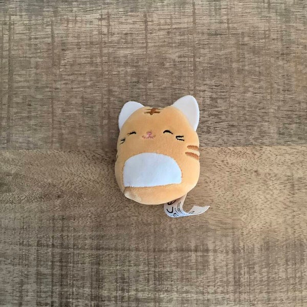 Squishville kat poes