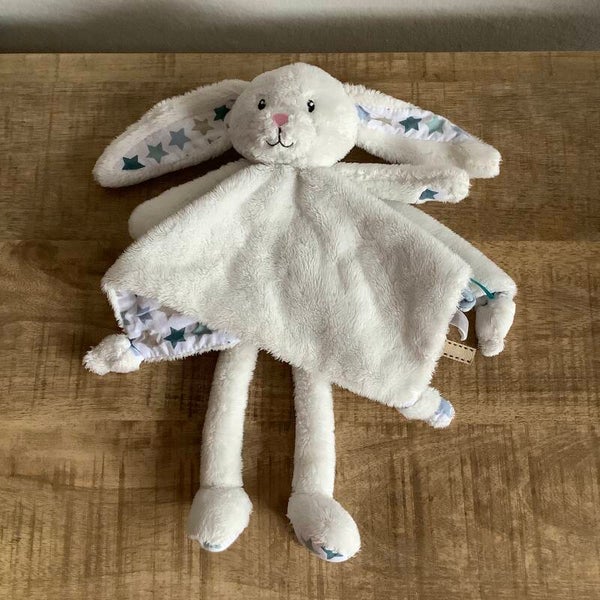 Little dutch konijn met poten