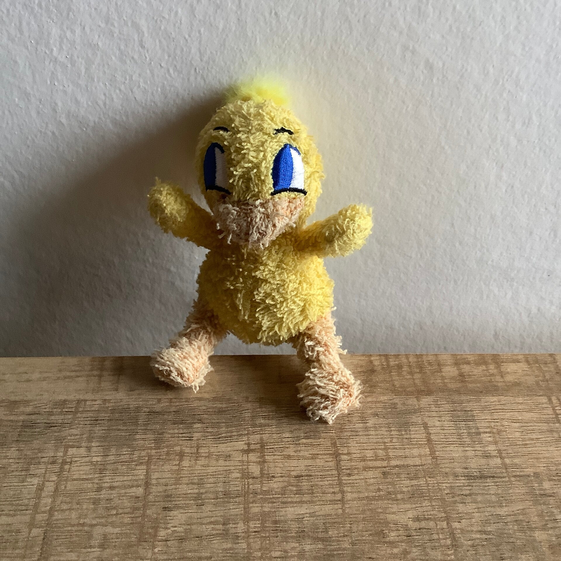 Nutricia eend vogel