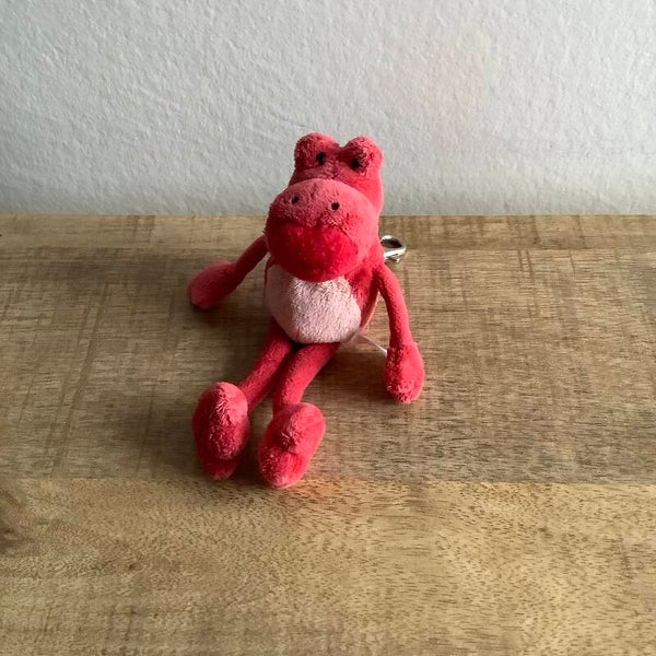 Nici kikker sleutelhanger