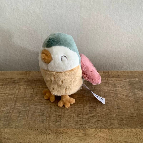 Little dutch vogel