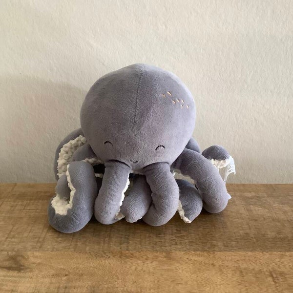 Little dutch octopus inktvis