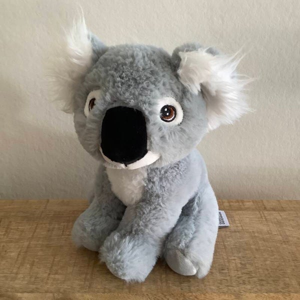 Ouwehands dierenpark koala