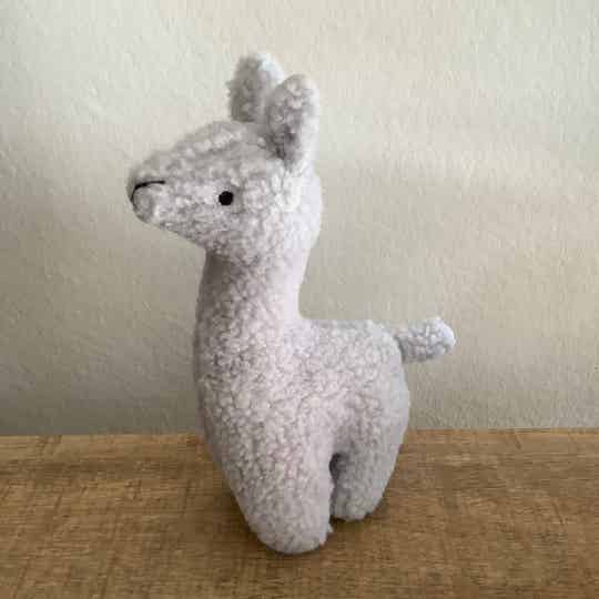 Jollein lama alpaca