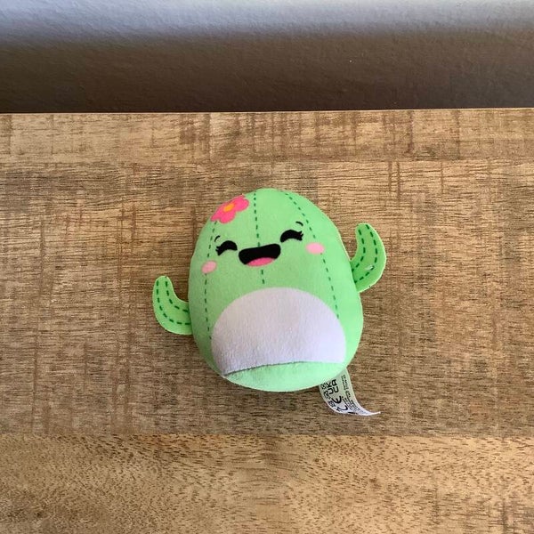 Mcdonald's squishmallows cactus