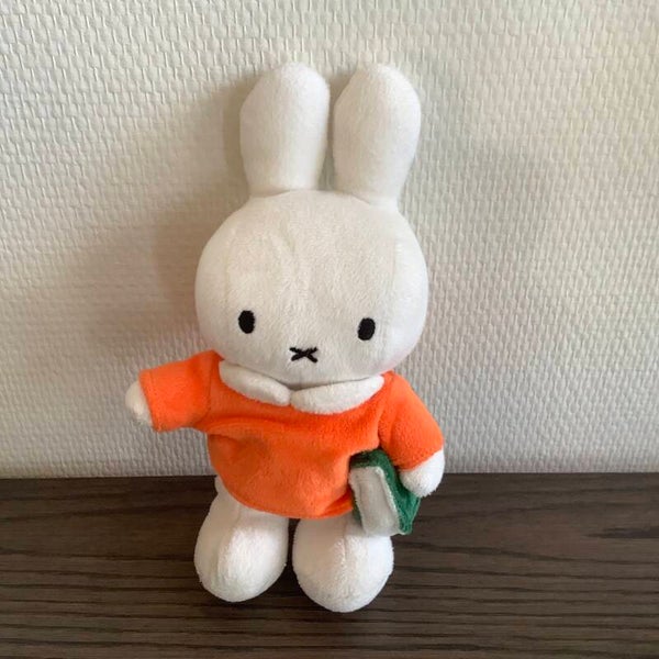 Nijntje oranje met boek