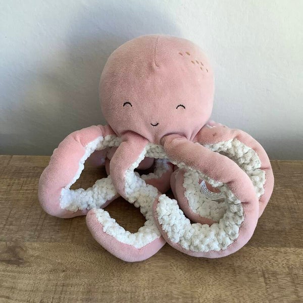 Little dutch octopus inktvis