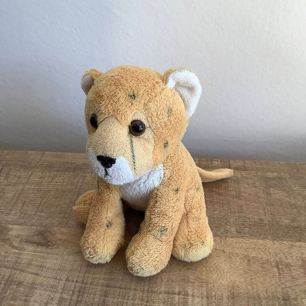 Cheeta luipaard