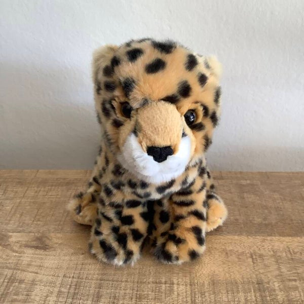 Nature planet luipaard cheeta
