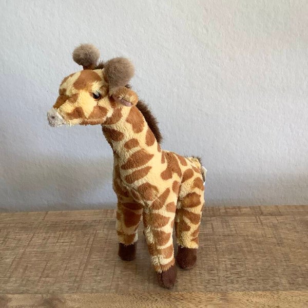 PIA giraffe