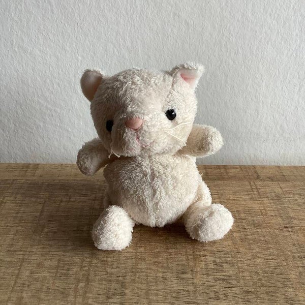 Hema kat poes