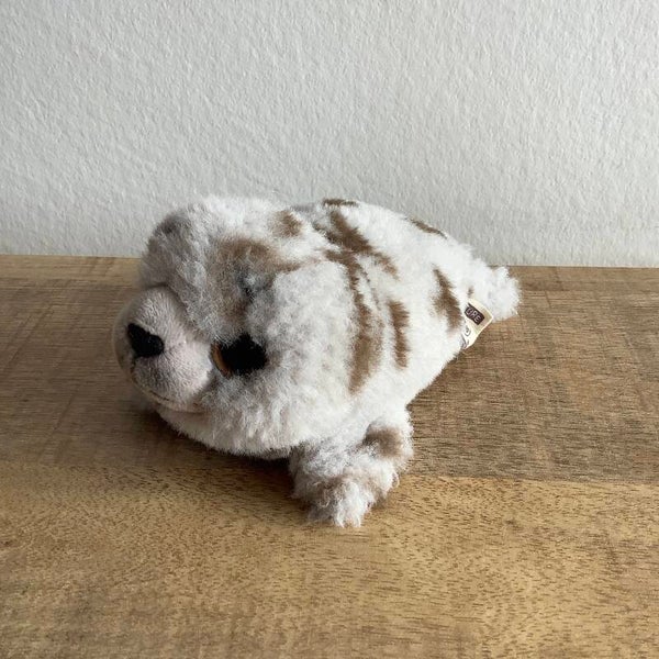 Nature planet zeehond