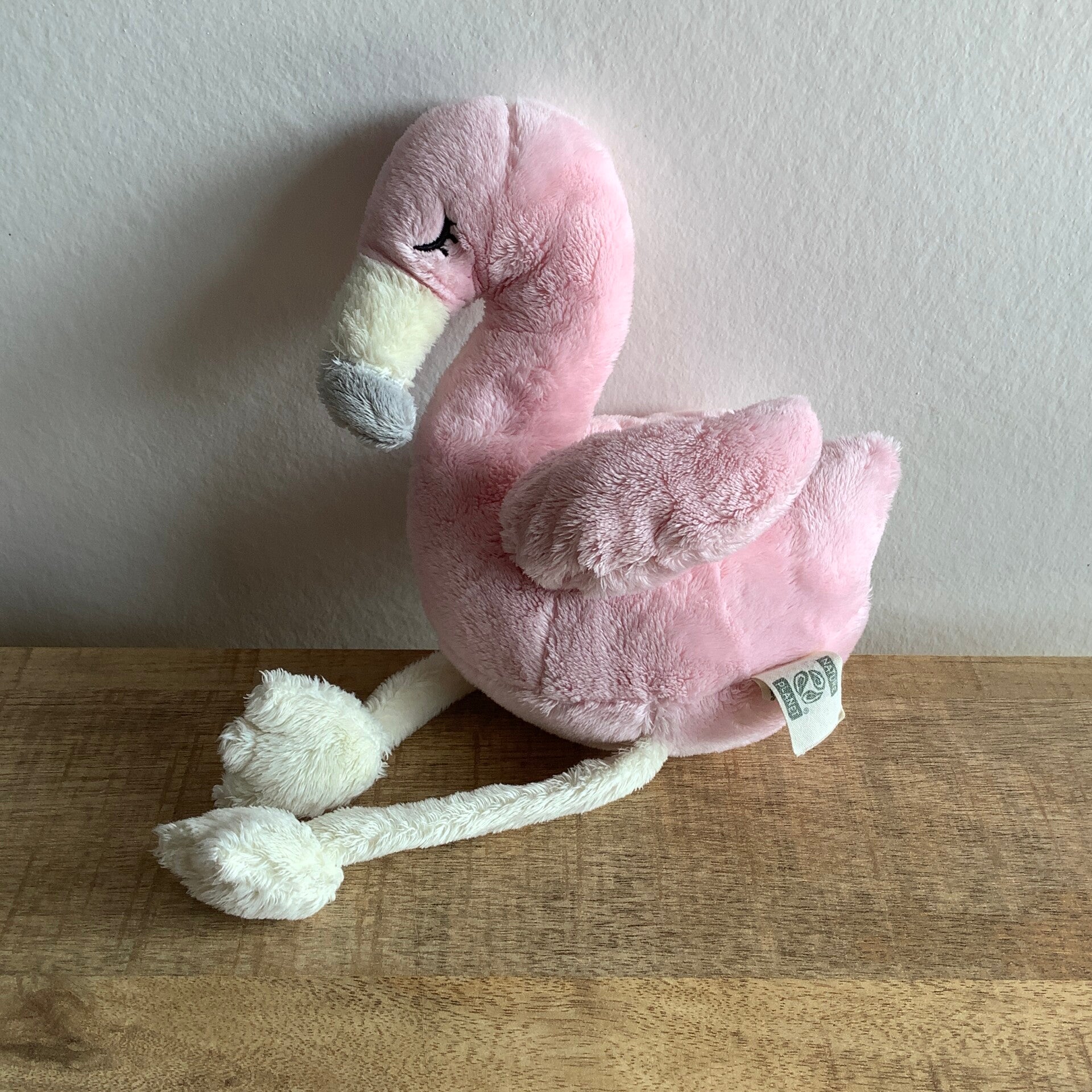 Nature planet flamingo