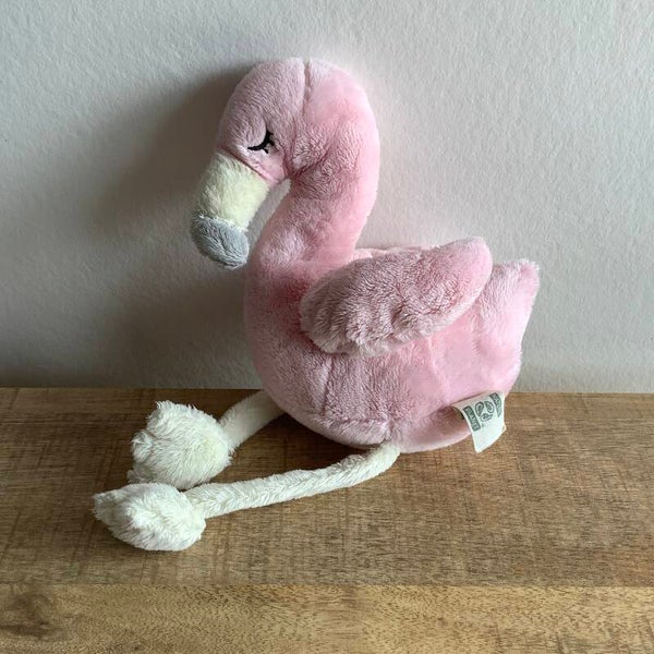 Nature planet flamingo