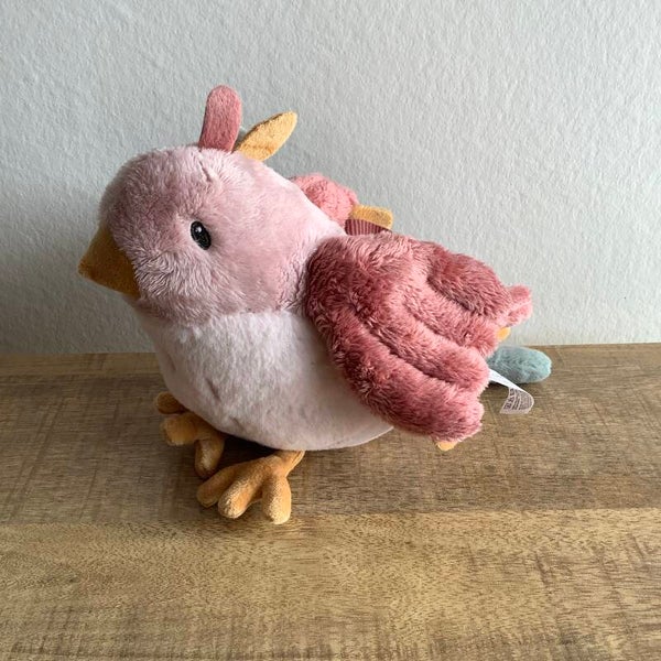 Little dutch vogel