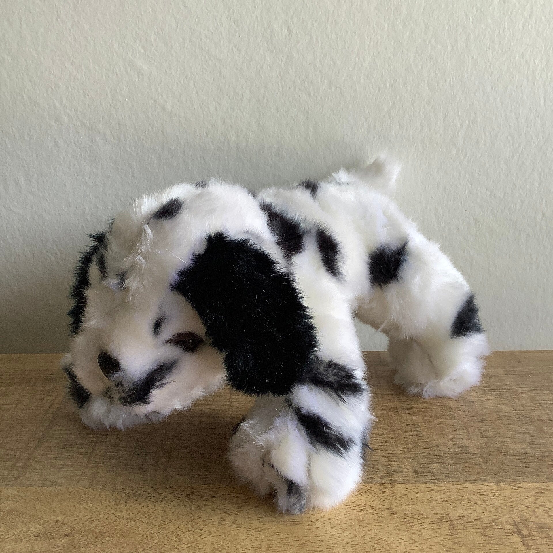 Dalmatiër hond