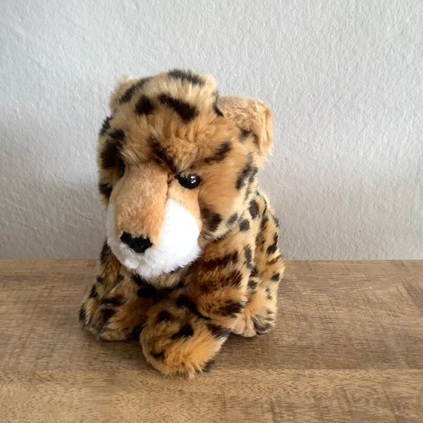 Nature planet luipaard cheeta