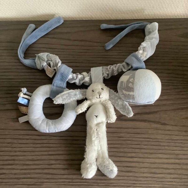 Little dutch konijn wagenspanner