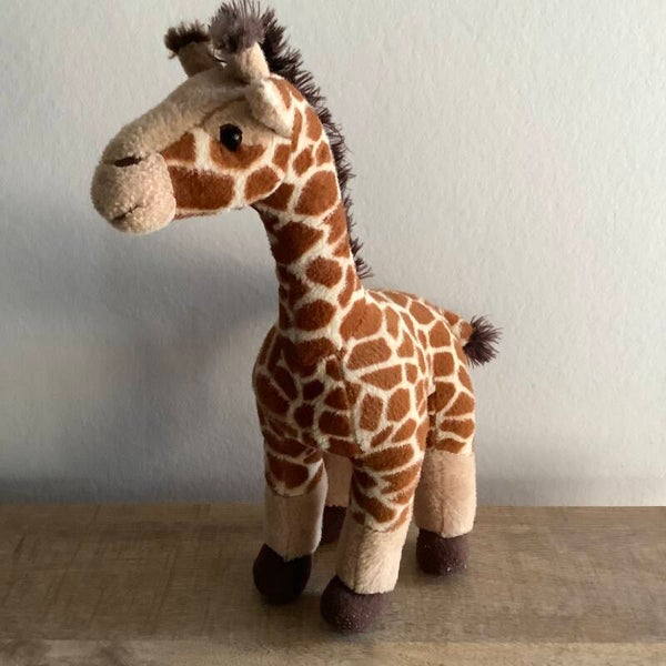 PIA giraffe