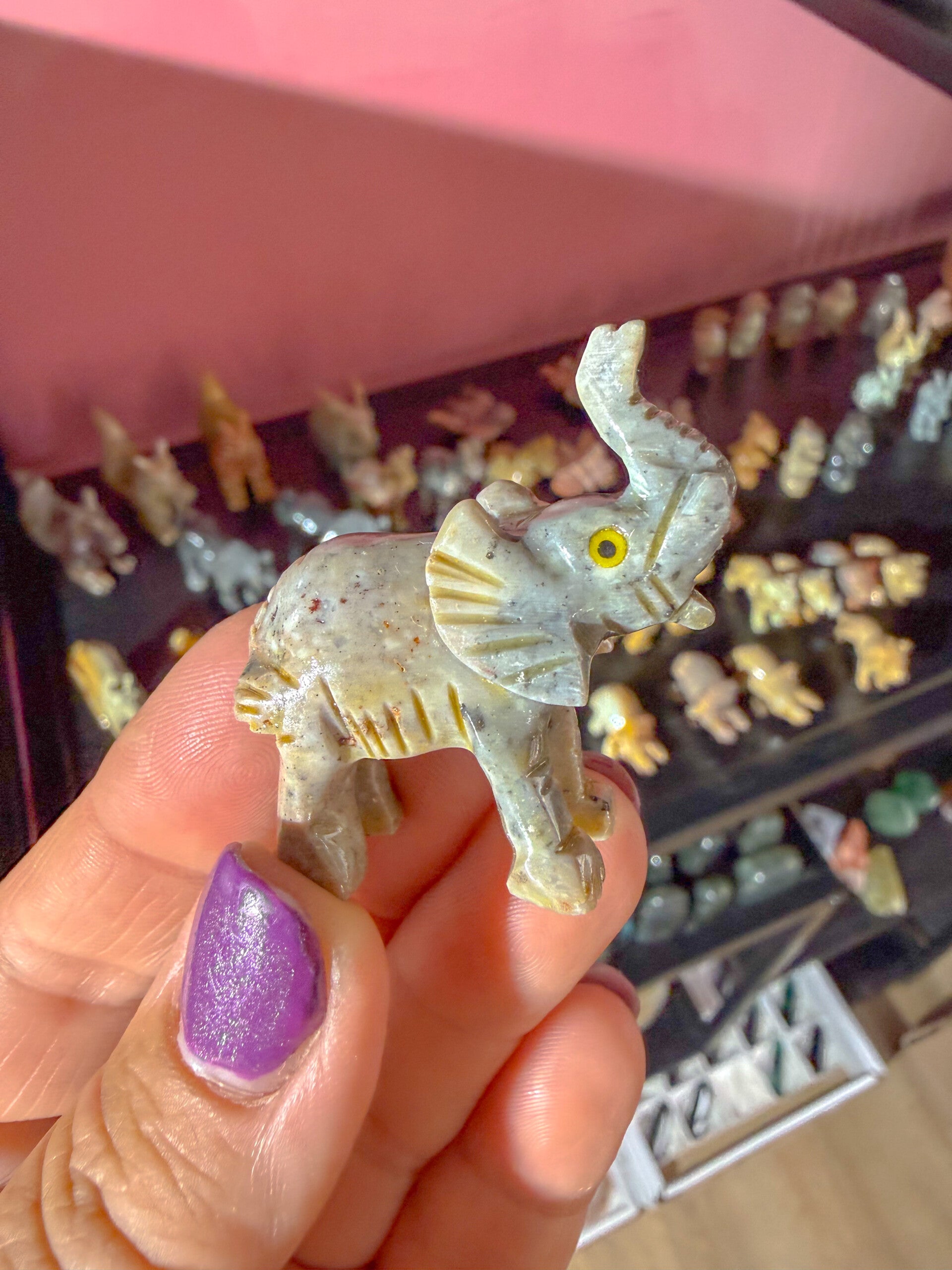 Olifant, klein