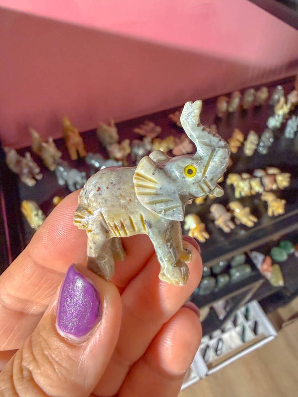 Olifant, klein