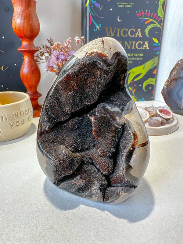 Groot Septarie ei/sculptuur