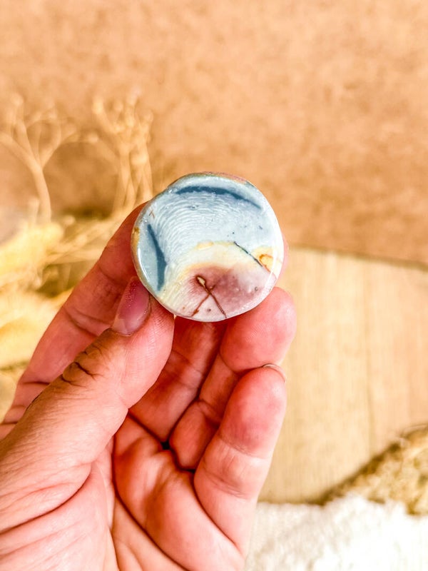 Polychroom Jaspis “Anomaly”