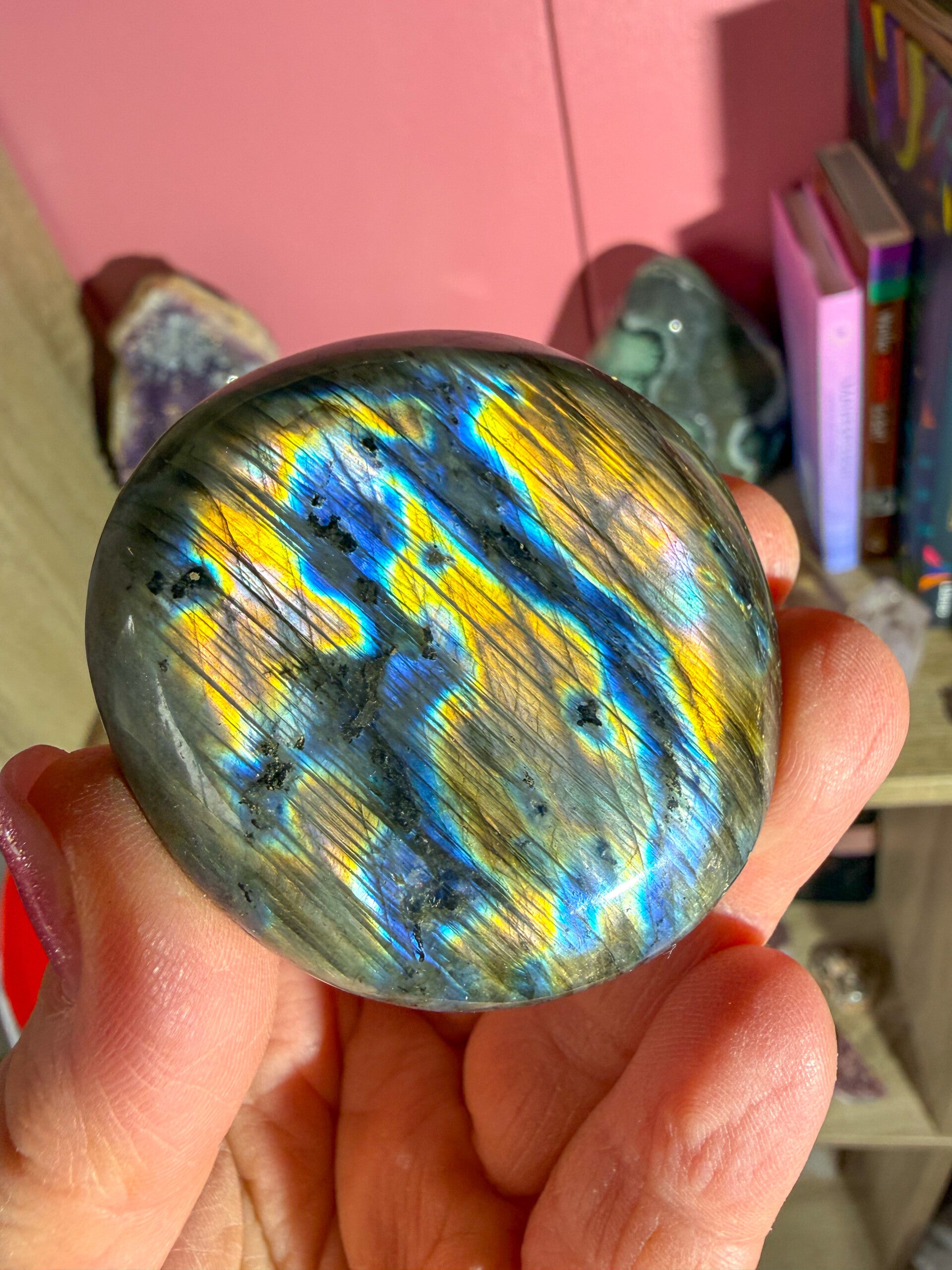 Labradoriet jumbosteen