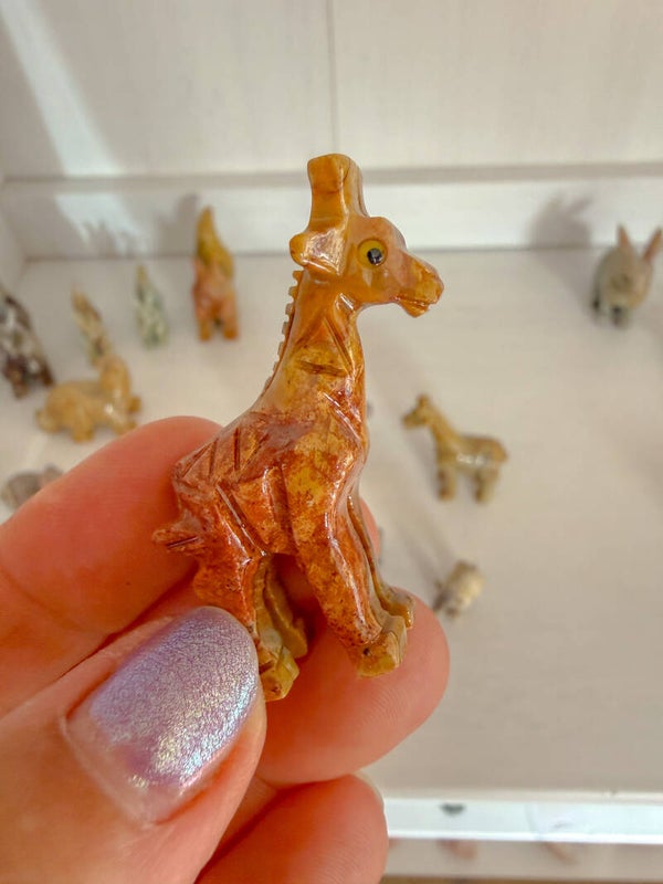Giraffe, klein